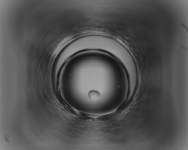 X0000101950199200807181458