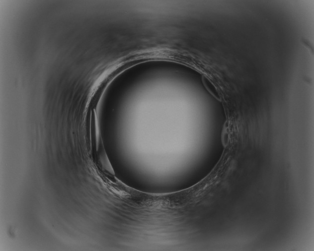 X0000101950200200807181458