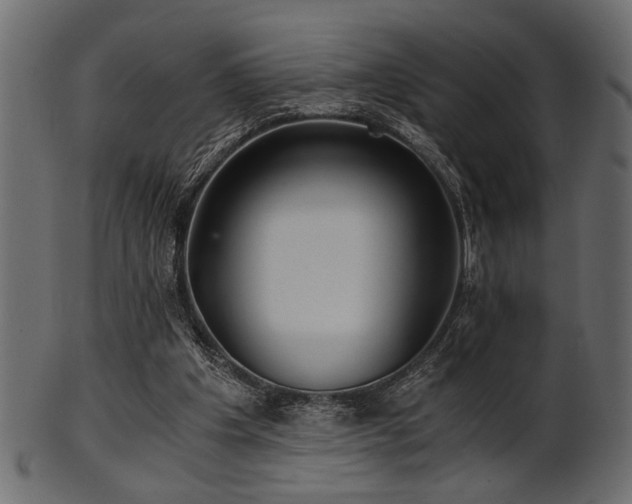 X0000101950201200807181458