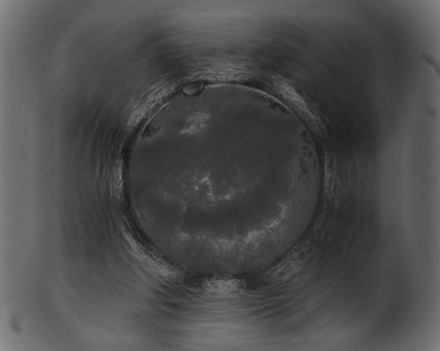 X0000101950202200807181458