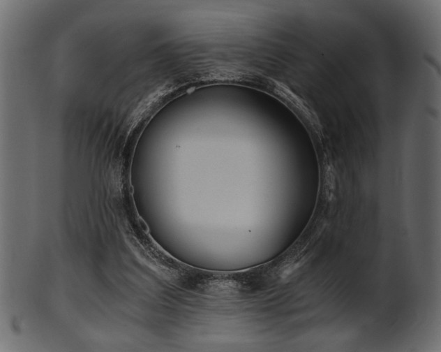 X0000101950203200807181458