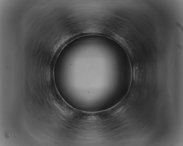 X0000101950204200807181458