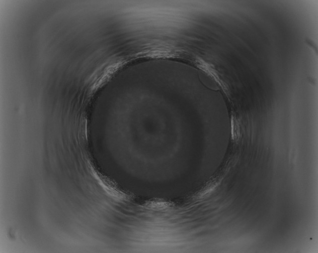 X0000101950205200807181458