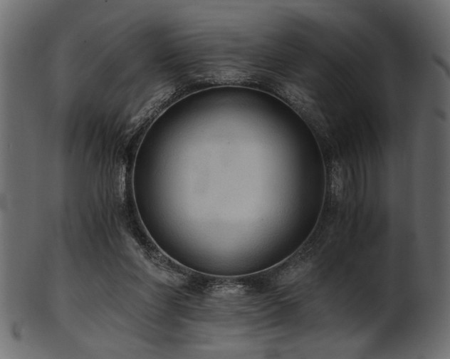 X0000101950206200807181458