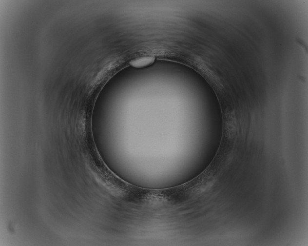 X0000101950207200807181457