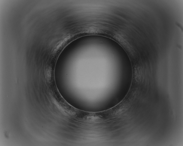 X0000101950208200807181457