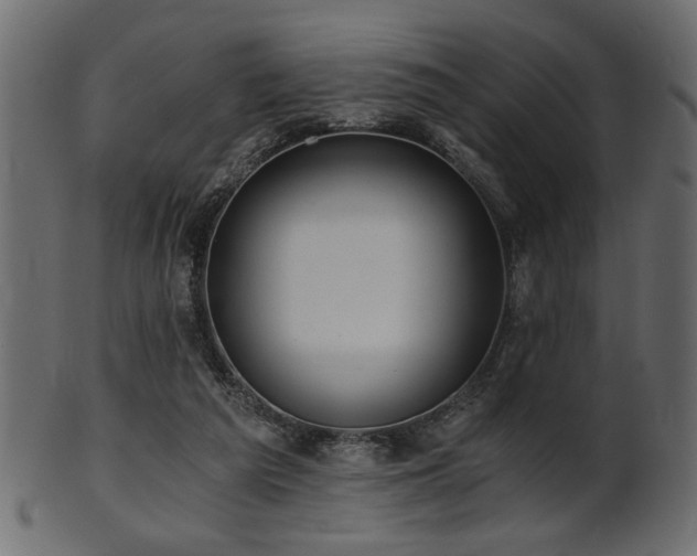 X0000101950209200807181457