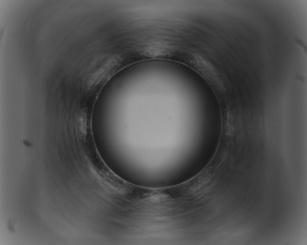 X0000101950210200807181457