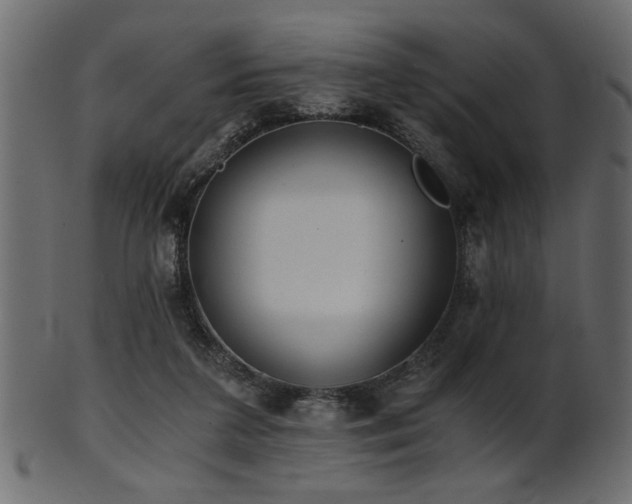 X0000101950211200807181457