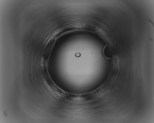 X0000101950212200807181457