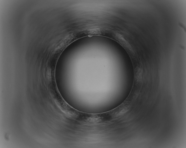 X0000101950213200807181457