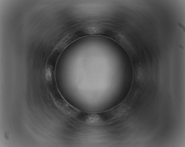 X0000101950214200807181457