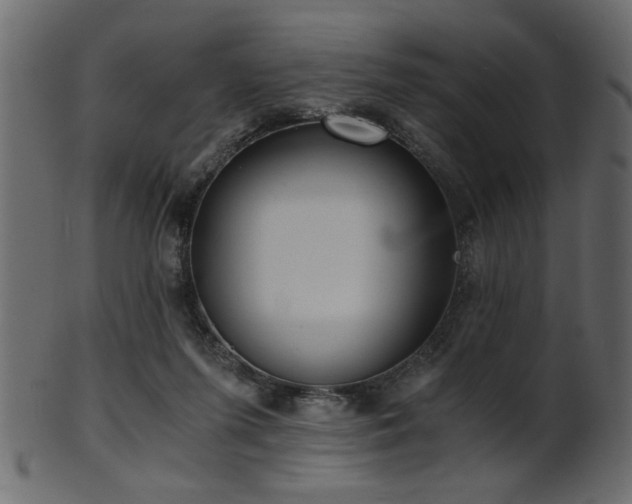 X0000101950215200807181457