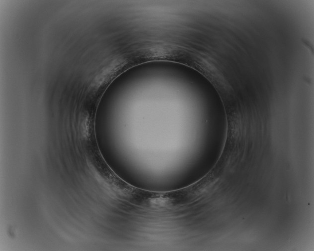 X0000101950216200807181457