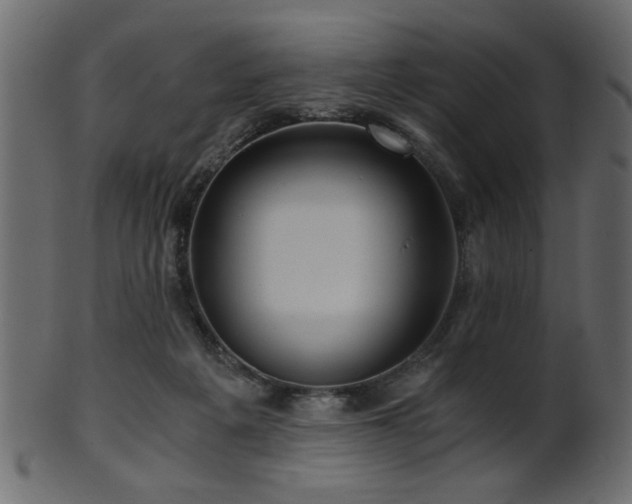 X0000101950217200807181457