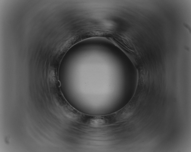 X0000101950220200807181457