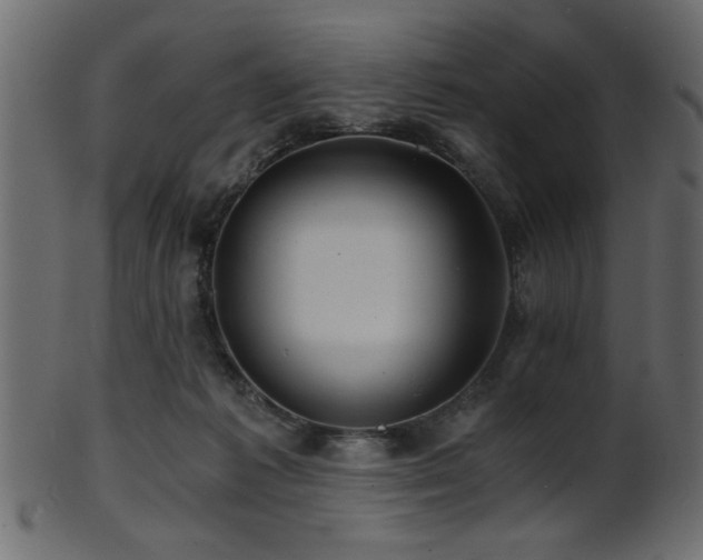 X0000101950221200807181457