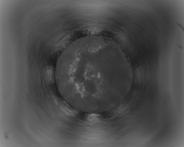 X0000101950222200807181457