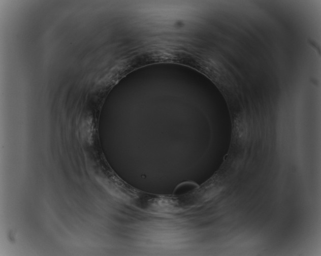 X0000101950223200807181457