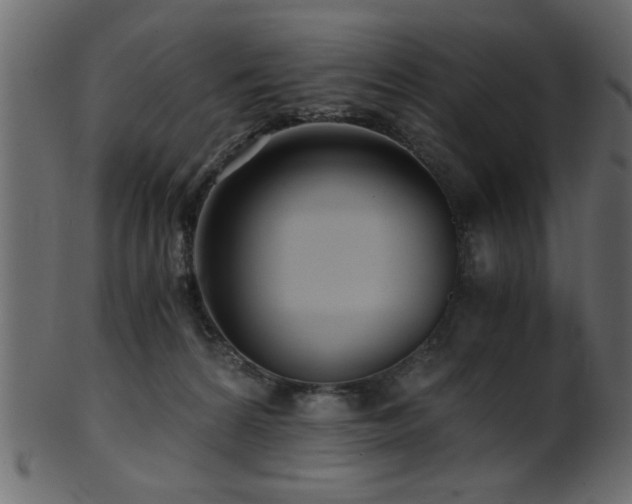 X0000101950224200807181457