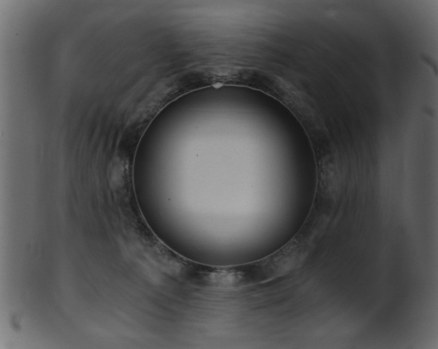 X0000101950225200807181457