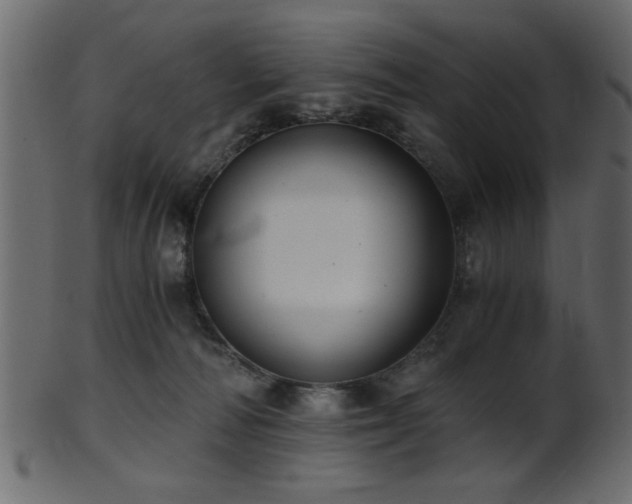 X0000101950226200807181457