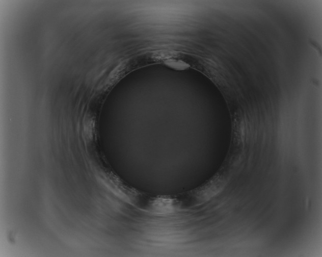 X0000101950227200807181457