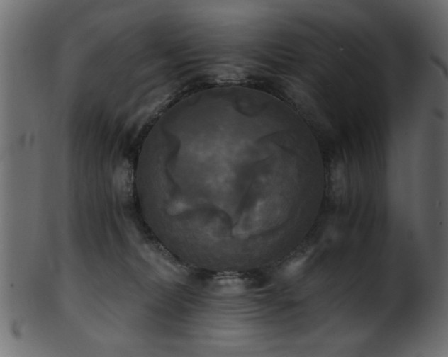 X0000101950228200807181457