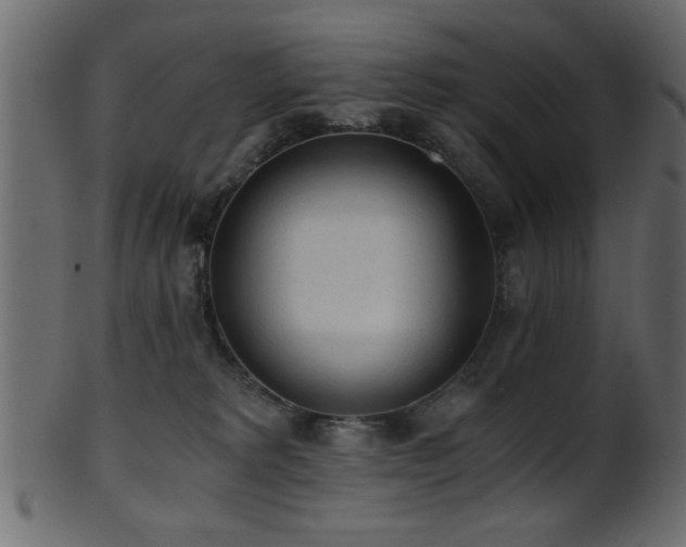 X0000101950229200807181457