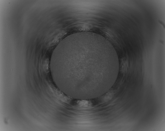 X0000101950230200807181457