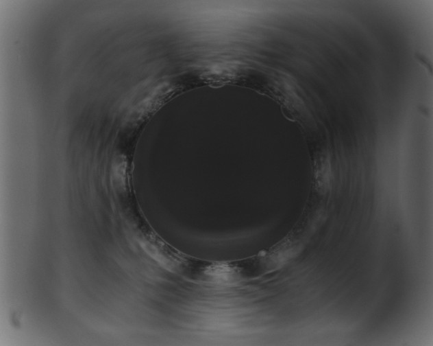 X0000101950231200807181457