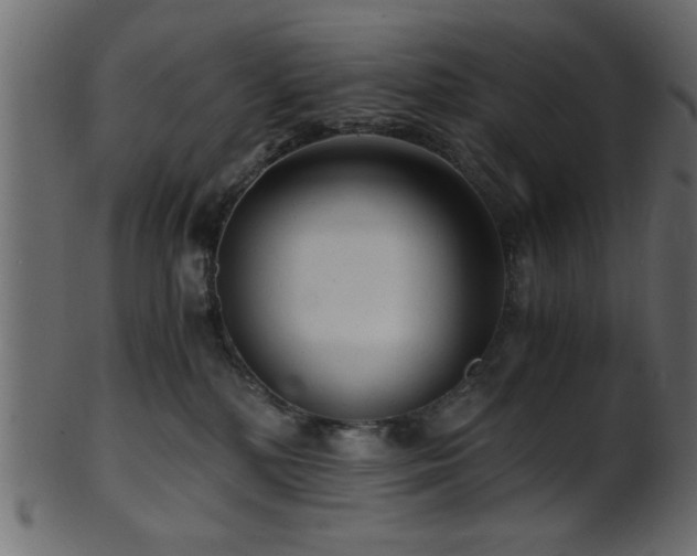 X0000101950232200807181457