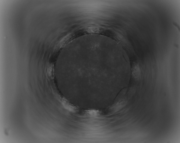 X0000101950233200807181457