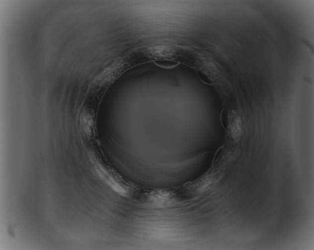 X0000101950235200807181457