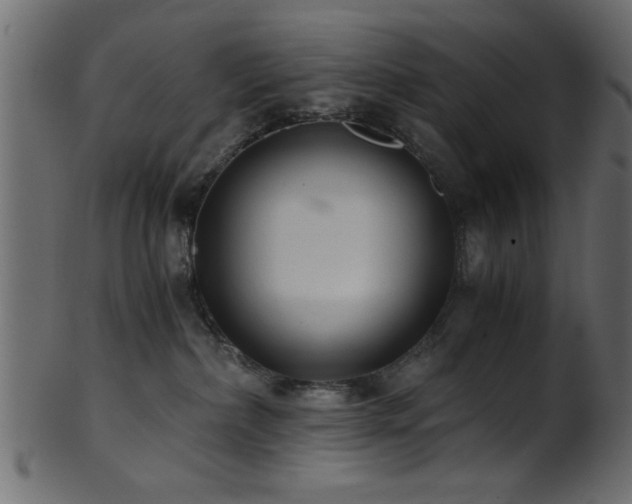 X0000101950236200807181457