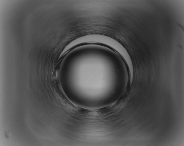 X0000101950237200807181457