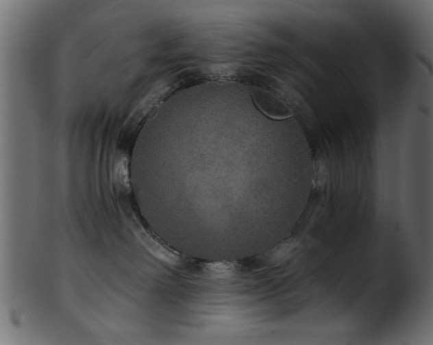 X0000101950238200807181457