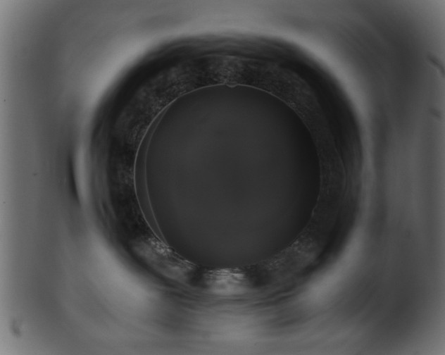 X0000101950239200807181457