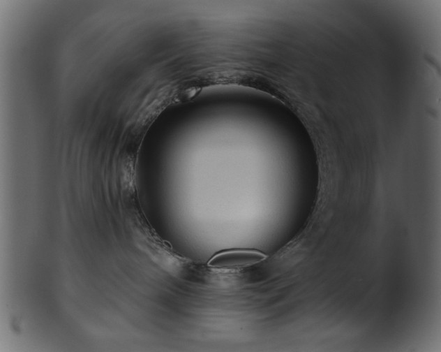 X0000101950240200807181457