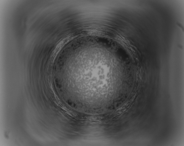 X0000101950241200807181456