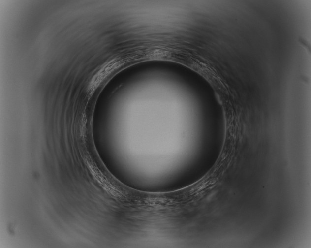 X0000101950242200807181456