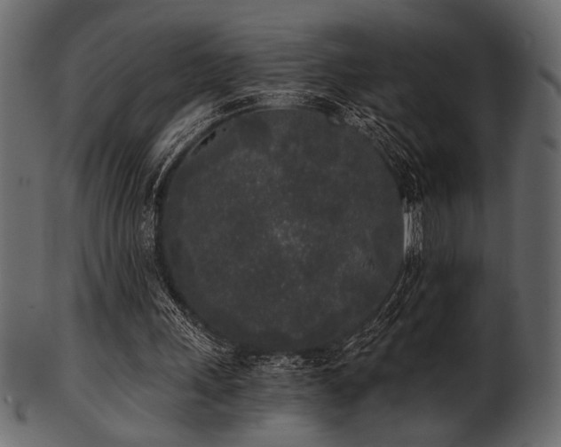 X0000101950243200807181456