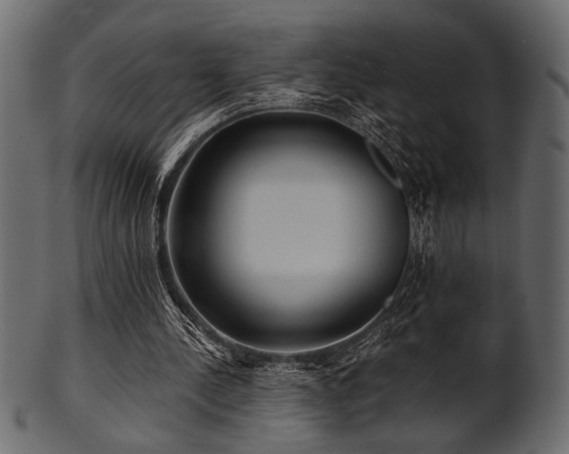 X0000101950244200807181456