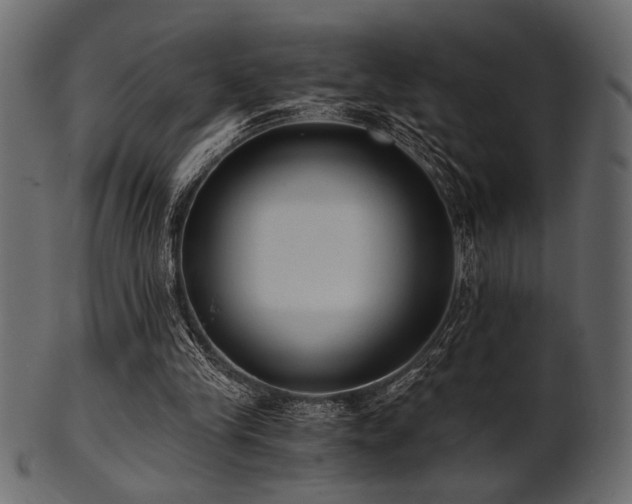 X0000101950245200807181456