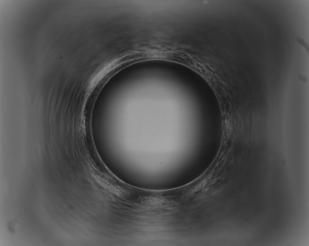 X0000101950246200807181456