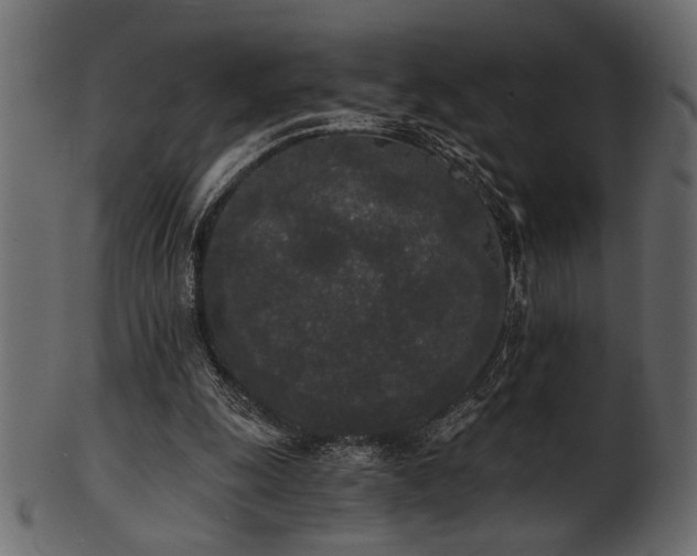 X0000101950247200807181456