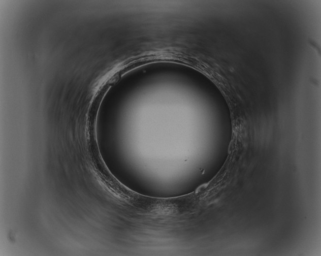 X0000101950248200807181456