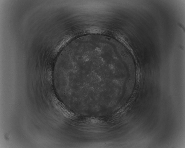 X0000101950249200807181456