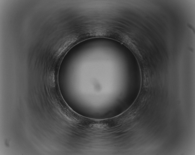 X0000101950251200807181456