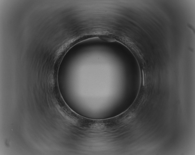 X0000101950252200807181457